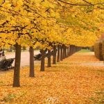 معلومات عن فصل الخريف